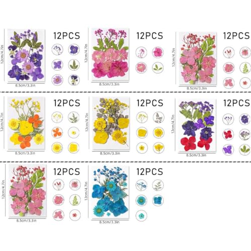 Flores prensadas secas para manualidades miniatura 2