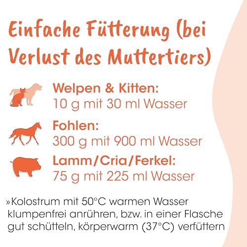 Singulares Rinder-Kolostrum pur 100% natürlich für Immunsystem 30 g