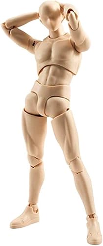 INSO Body-kun - Juego de figuras de acción, modelos de figuras de acción para artistas, 5.9 pulgadas (piel)