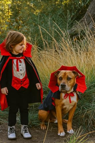 Disfraz de Vampiro para Perro Halloween L miniatura 6