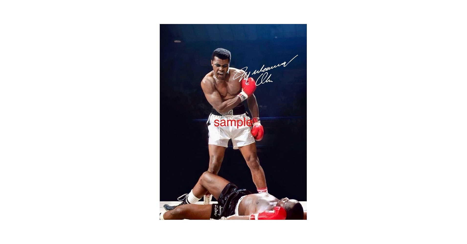 Amazon.co.jp: モハメドアリ サイン フォト 写真 元世界ヘビー級