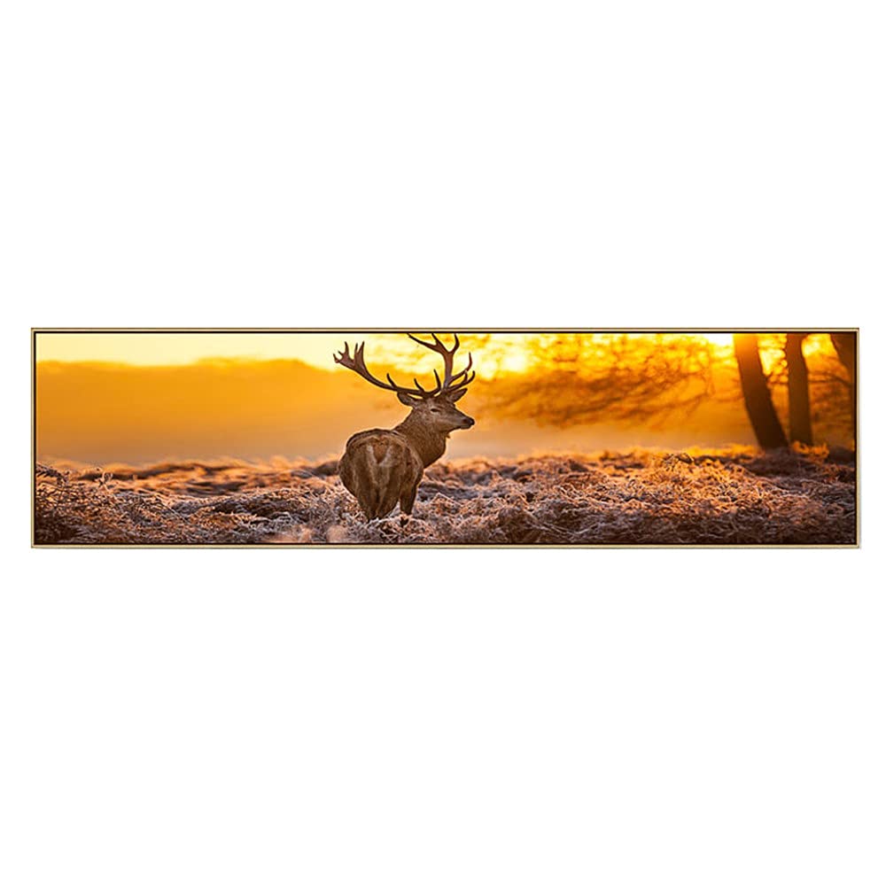 Artisanat de point de croix diamant 5D pour décorer un grand salon lumineux 80x220cm