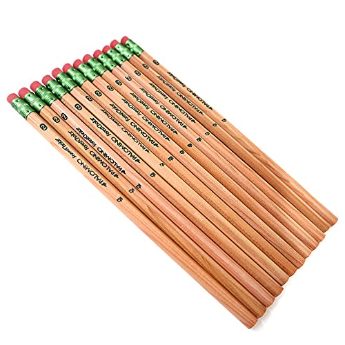 Lápices de Grafito ForestChoice #2, pack x12 miniatura 1