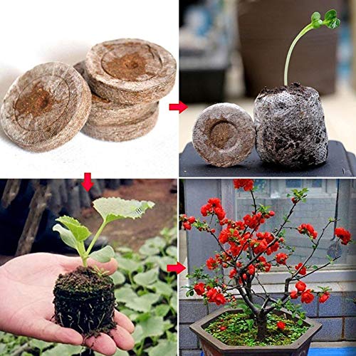 ZQEDY Peat Pellets 100pcs 30mm Seedling Soil ock Nursery Professional Transplanting s Environmental Garden Starter Home Jiffy Plant Starting