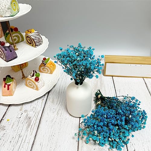 6 piezas Ramo Mini Gypsophila preservada azul miniatura 6