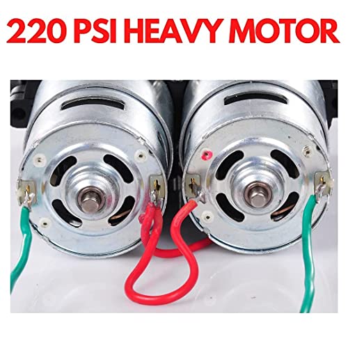 Earth Garden Pressure Battery Sprayer DC Pump Double Motor 12 V Pump, Black