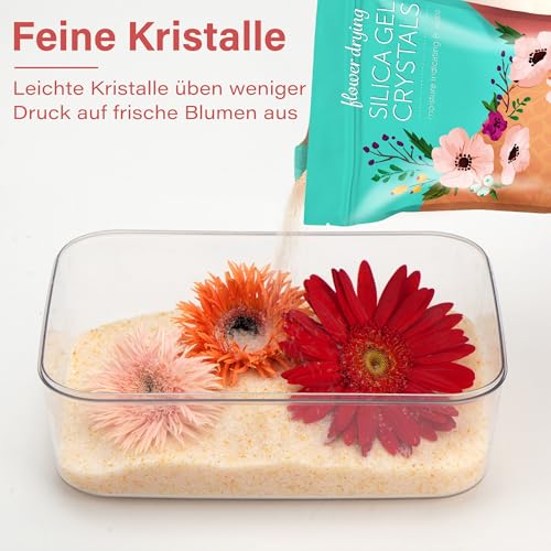 LotFancy Silica Gel zum Blumen Trocknen 2.5 LBS (1,13KG), Silicagel mit Indikator, Wiederwendbares Trockenmittel, Feine Kristalle  1 mm für Blumen