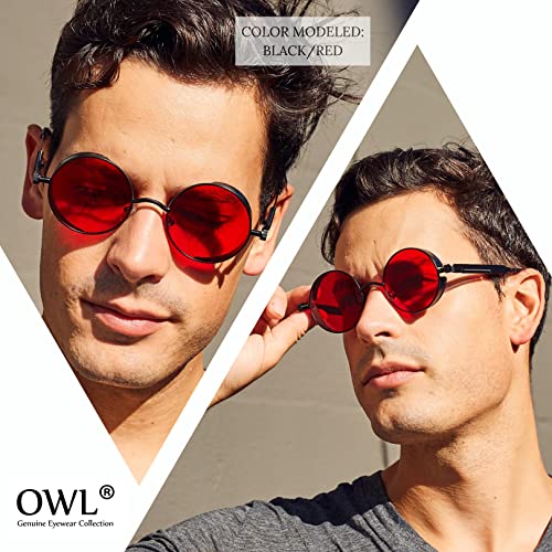 OWL Steampunk Retro Gothic Vintage Hippie Colored Metal Round Circle Frame Sunglasses Colored Lens3