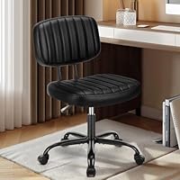 DUMOS Armless Home Office Desk Chair -Small Ergonomic with Low Back Lumbar Support