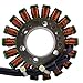 RMSTATOR Replacement for Generator Stator Yamaha YZF R6 / Champions Limited Edition 1999-2002 | OEM Repl.# 5EB-81410-00-00