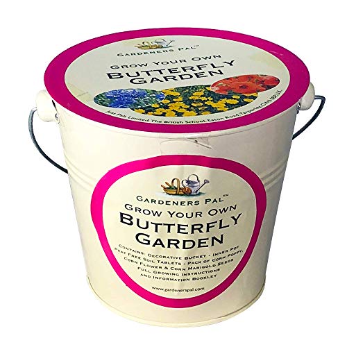 10x Grow Your Own Butterfly Garden