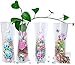 HGFF Collapsible & Expandable Plastic Vase 8 PCS and Water Beads(About 800PCS Reusable - for Travel, Vacations, Camping, Weddings, Table Decor