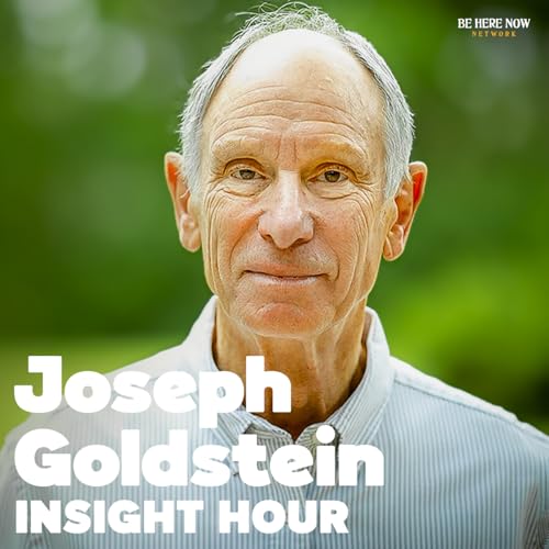 Page de couverture de Insight Hour with Joseph Goldstein