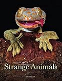 Strange Animals (Animals in Photographs)
