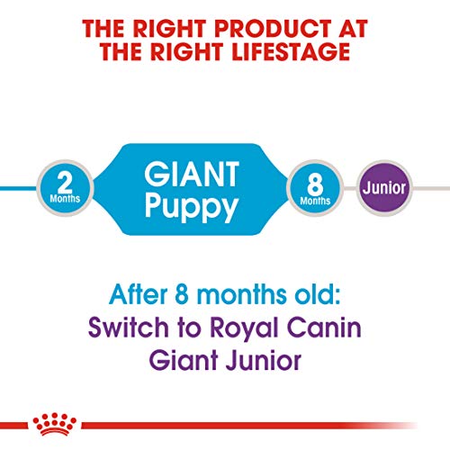 Image of Royal Canin Maxi Puppy, 4 kg & Giant Puppy Dry Dog Food, Chicken 3.5 Kg