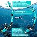 Imagen de Gafas de Buceo Profesional para Adulto Gafas Snorkel Adulto Panorámico de 180°Vidrio Templado Máscara Set de Snorkel Dry Top para Hombres Mujeres