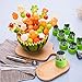 TIMGOU 12 Pcs Vegetable Fruit Cutter Shapes Set with Melon Baller Scoop and Cleaning Brush, Fruit and Mini Cookie Stamps Mold for Kids Crafts Baking Decorating Food-Green