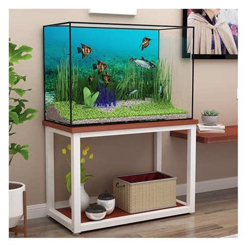 Soporte de metal para peces con estante de doble capa y base antideslizante