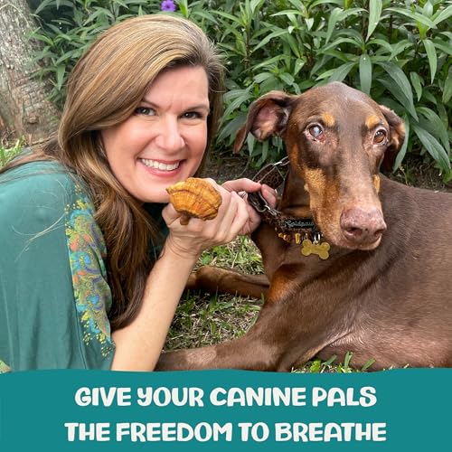 Image of MycoDog Breathe Dog Allergy Relief Drops 2 fl. oz.: Mushroom Extracts & Ashwagandha Tincture | Respiratory Support Itch Relief for Dogs | Chaga & Reishi Mushroom Blend