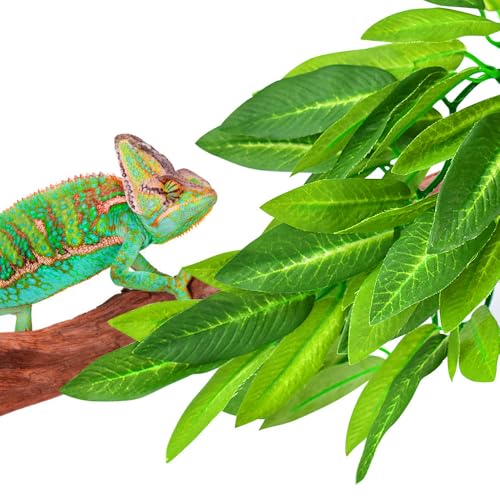 KATUMO Reptile Plants, 3 PCS Amphibian Hanging Plants with Suction Cup for Lizards, Geckos, Bearded Dragons, Snake, Hermit Crab Tank Pets Habitat Decorations - Thumbnail 6