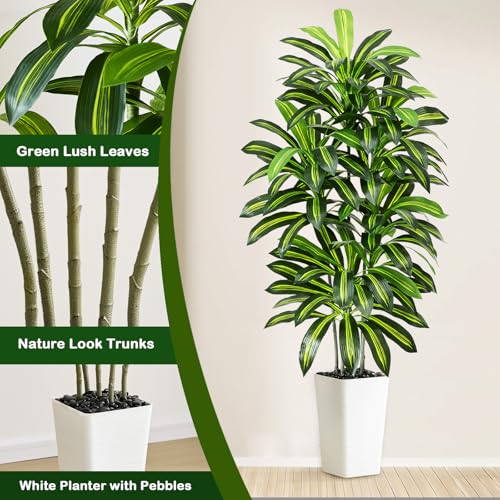 Artificial Dracaena Plant Indoor 5FT Fake Tree with White Tall Planter, Tall Fake Floor Plant in Pot, Artificial SilkPlant for Home Decor Office Living Room Porch Patio Housewarming(5 Trunks 150CM) - Image 4