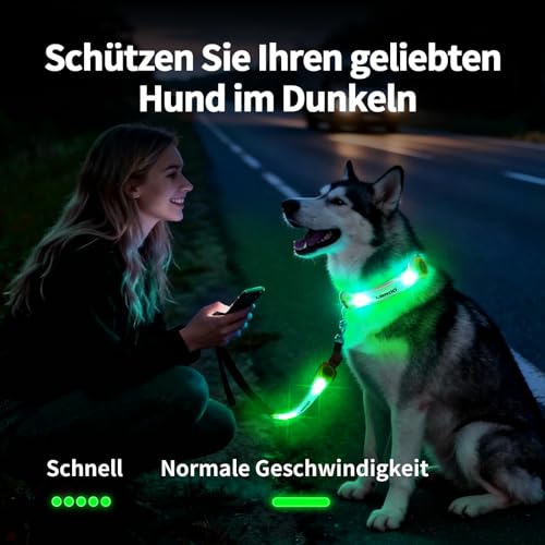 LaRoo Sicherheits LED Leuchtband für Hunde Katzen,LED Licht Blinklicht mit Klettverschluss, Einfach an Halsband Leine und Geschirr zu Befestigen, Wasserdicht Leuchtend Outdoor Sportarten (Grün)