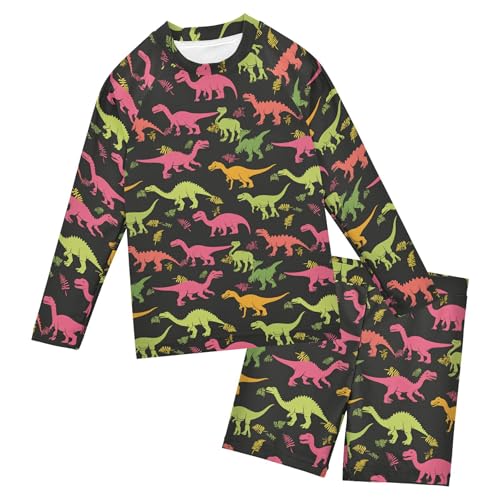 Cute Dinosaur Baby Boys' Toddler Long Sleeved Rashguard Swim Bathing Suit Set B0404102