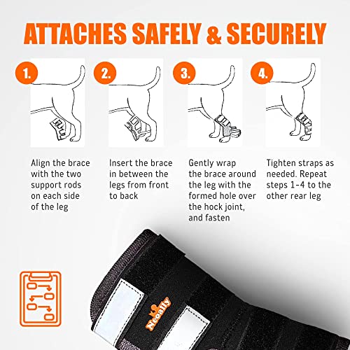 Neoally® - Rear Leg Hock Brace, Dog Leg Brace For Rear Leg, Hock & Ankle Support For Large Dogs, Dog Brace For Torn Acl And Ccl, Long Version, Extra Large, 1 Pair #TOP7