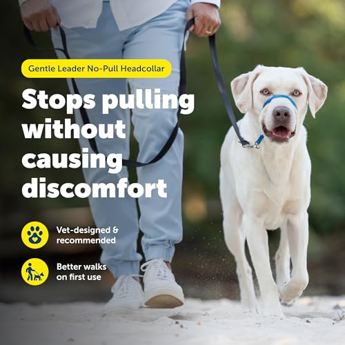 PetSafe Gentle Leader Hundehalfter gegen Ziehen, die ultimative Lösung zum Ziehen, leitet das Ziehen Ihres Hundes für einfachere Spaziergänge um, hilft Ihnen, die Kontrolle wiederzuerlangen, Größe L,