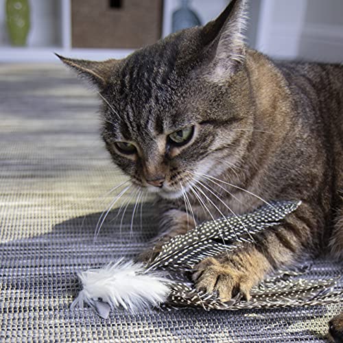 Petlinks 49218 Happynip Zippy Zebra Feather Cat Toy thumb #4