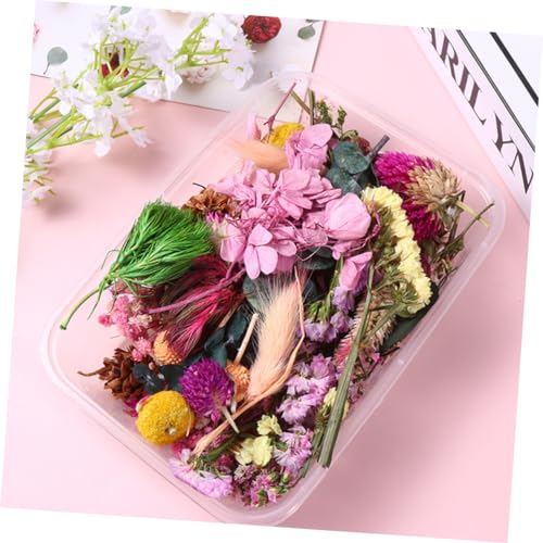 Flores secas naturales para manualidades DIY, ecoamigables miniatura 7