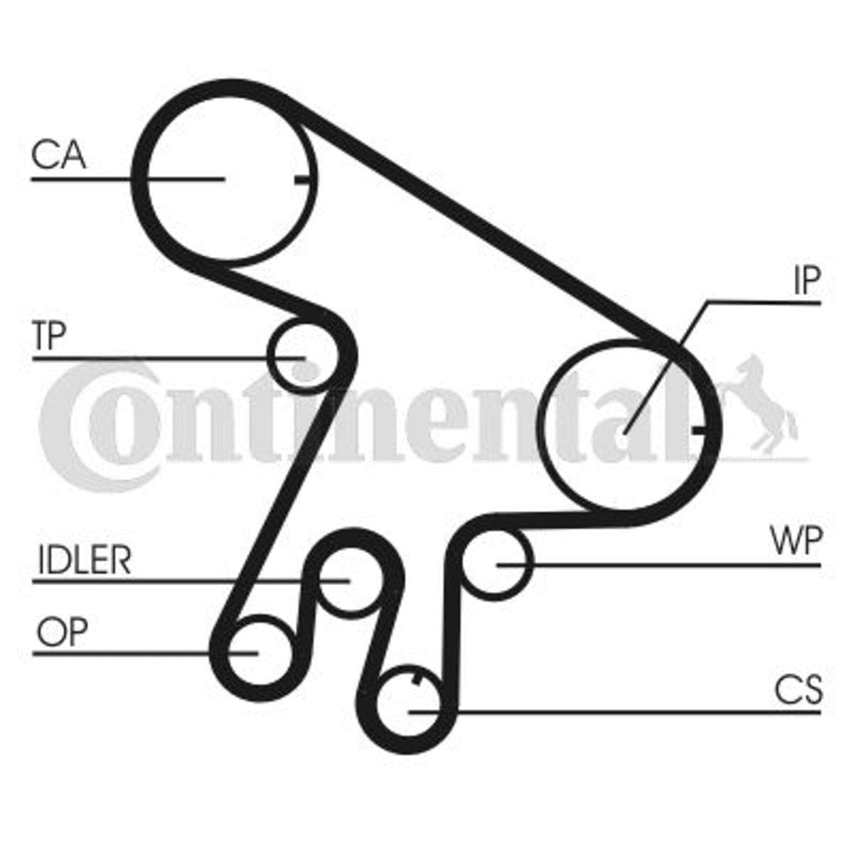 Kit De Courroie De Distribution Contitech CT1043WP2 Avec Pompe à Eau - Pièce Auto De Remplacement Haute Qualité