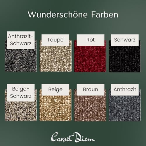 Carpet Diem Prestige Schmutzfangmatte schön und haltbar, Premium Fußmatte innen & außen - Sauberlaufmatte für Eingangsbereich, Flur & Haustür - Beige-Schwarz 40x60 cm