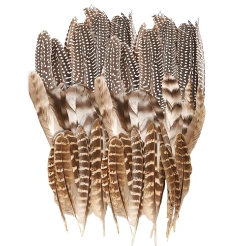 Zynaxir 30 Pcs Natural Pheasant Feathers 12-20cm Brown Speckled Craft Feathers Pheasant Tails for DIY Hats Wreaths Party Decor and Cosplay Props (3 Sizes)