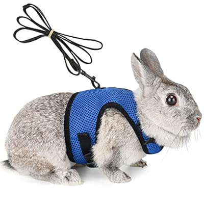 HAPPY HACHI Soft Rabbits Harness with Elastic Lead, Adjustable Bunny Rabbit Harness and Leash Set, Mesh Vest for Hamsters Small Cats Rats Guinea Pig Walking(L, Blue)