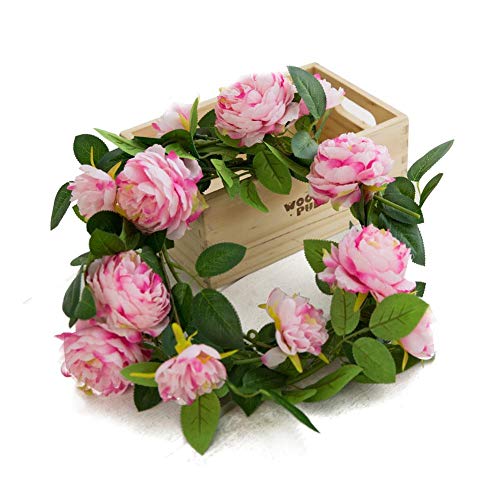 FEW Vaso de Trigo Personalizado Logo para la Venta de Vaso de Salud