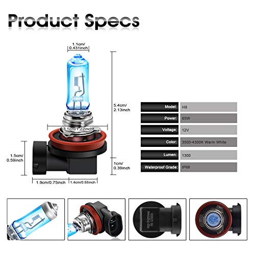 H9 Halogenbirne TECTICO 12V 65W für Fernlicht und Abblendlicht