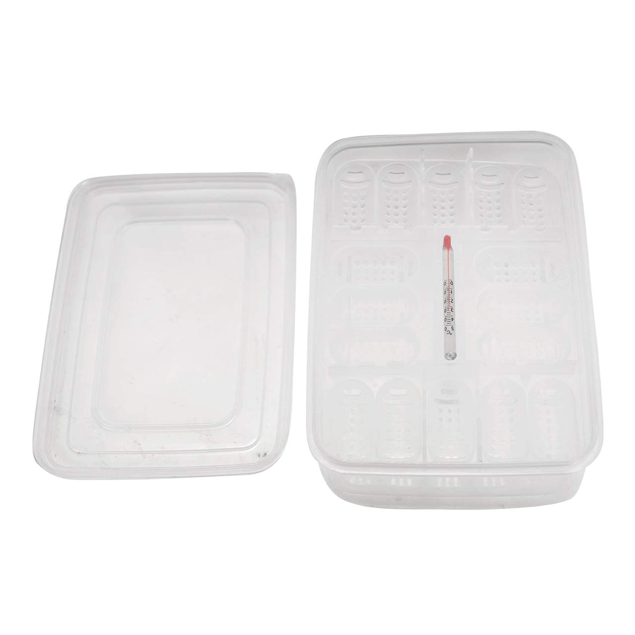 Buy 16 Grids Reptiles Eggs Incubator Tray, Amphibians Hatchery Box with Thermometer
