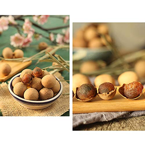 image for Madamera 1.1 lb Dried Longan with Shell, Resealable Asia Tropical Frui