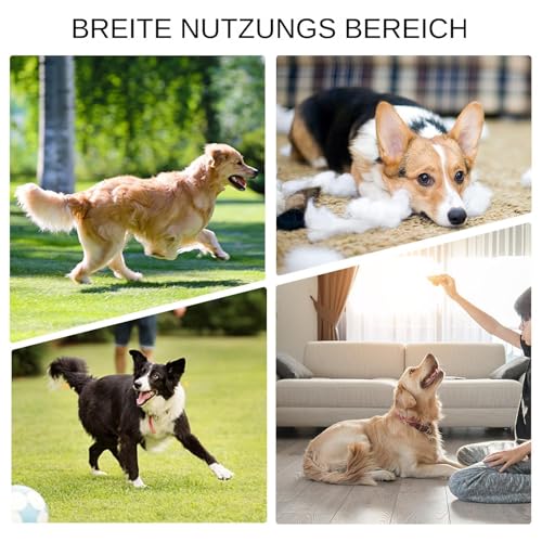 Enten-Dummys-Stoßfänger: Vogel-Trainings-Dummys für das Training von Jagdhunden, Entenspielzeug für Hunde, imitiert tote Enten-Stoßfänger-Spielzeug für das Wasservogel-Jagd-Retriever-Hundetraining