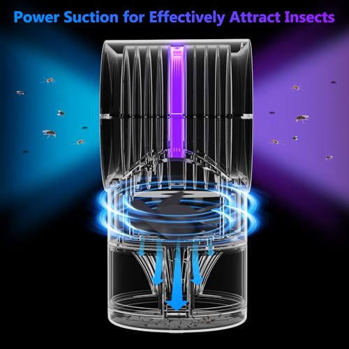 Image of Fruit Fly Trap for Indoors, Fly Traps for Home Gnat Traps House Indoor, Indoor Insect Trap with Timer, Pack of 10 Refills (Blue)