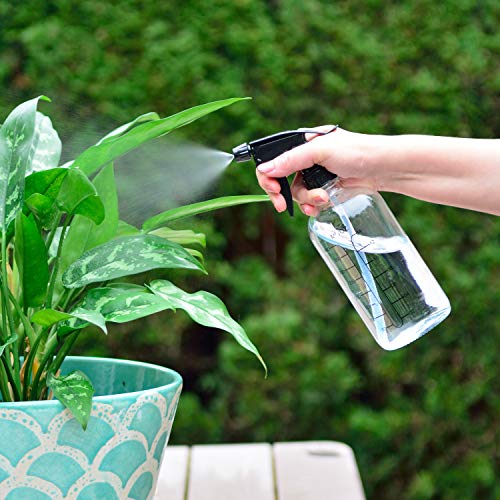 Youngever 4 Pack 16 Ounce Empty Glass Spray Bottles with Measurements, Spray Bottles for Hair and Cleaning Solutions (Clear)4