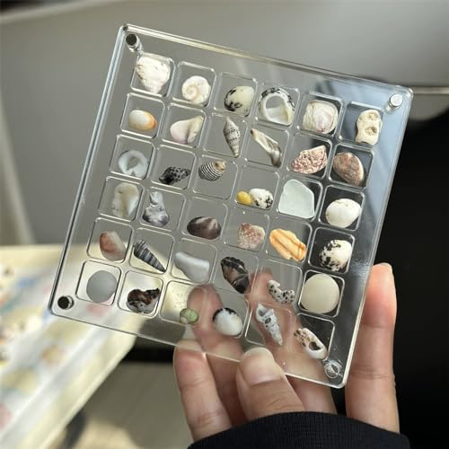 Generic 36 Grids Acrylic Magnetic Seashell Display Box, Mini Shell Storage Box Display Case Decorative Seashell Starfish Trinket, Small Craft Organizers Container for Jewelry Bead, Nail