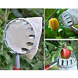 Xinlie B07QRFYC65 lato 4