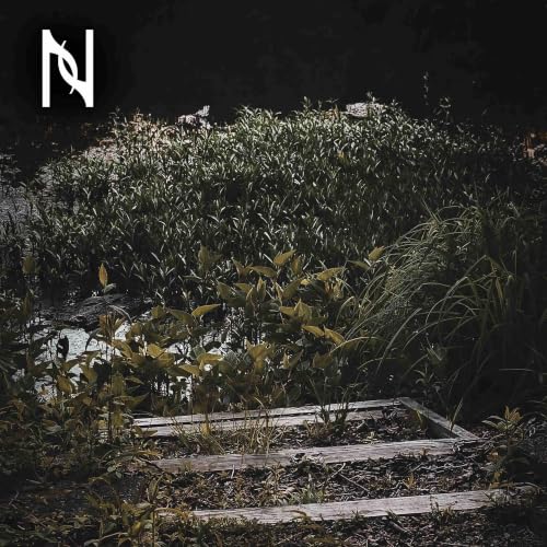 Summer Crickets with Piano for Sleep - 9 Hours - "For Nights on End"