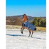  Bucas Freedom Turnout 125 Pferdedecke 300g, Navy/Silber