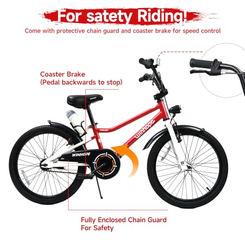 Image of WinHope Kids Bike with Headlight, 12-20 Inch Pedal Bike for 2-12 Boys Girls | Steel Frame with Training Wheels Water Bottle | Dual Brake for Summer Outdoor Riding | Birthday Gift for Toddlers