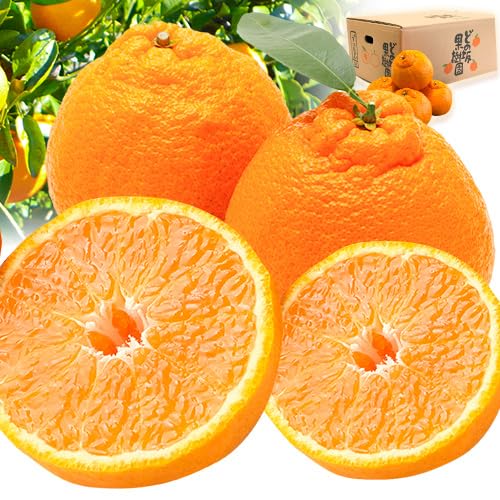 [Amazon.co.jp 限定]不知火 (デコポン と同品種) しらぬい 4.9kg どの坂果樹園[2026年2月中旬-4月上旬頃出荷] 和歌山県 日高川町 でこぽん 旬 果物 フルーツ 柑橘 産地直送