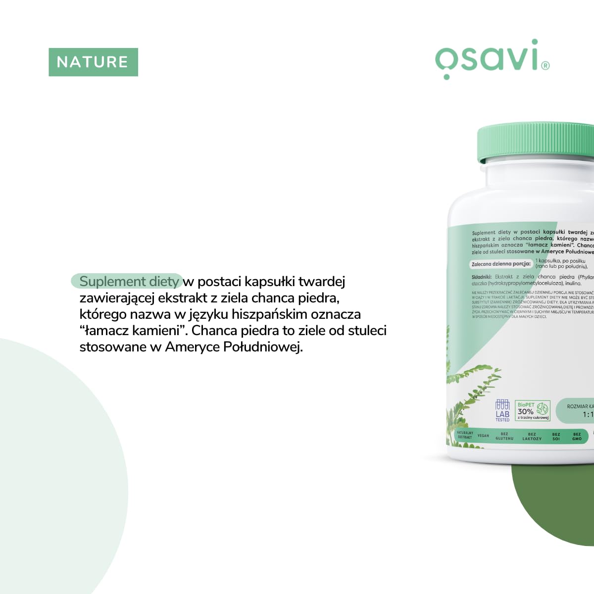 Osavi Chanca Piedra – 120 wegańskich kapsułek | Tradycyjna roślina | Ekstrakt z ziela chanca piedra | 500 mg ekstraktu w jednej kapsułce z 5000 mg Phyllanthus niruri | Clean Label | Dla Wegan