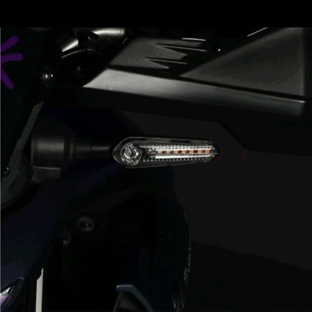 Wspornik tablicy rejestracyjnej LED płynące kierunkowskazy pasują do Yamaha(LED Turn Signal)